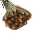 thumbnail image 1 of 60 unids/set Flores artificiales Cateissary Color natural, 1 of 6
