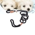 thumbnail image 4 of Miangastore Nylon Dog Training Leash For With Buckle For Easy Control Durable And Heavy Duty Design For Pet Training Black, 4 of 8