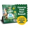 Pennington Classics Nut & Fruit Treat Bell 15 Ounce