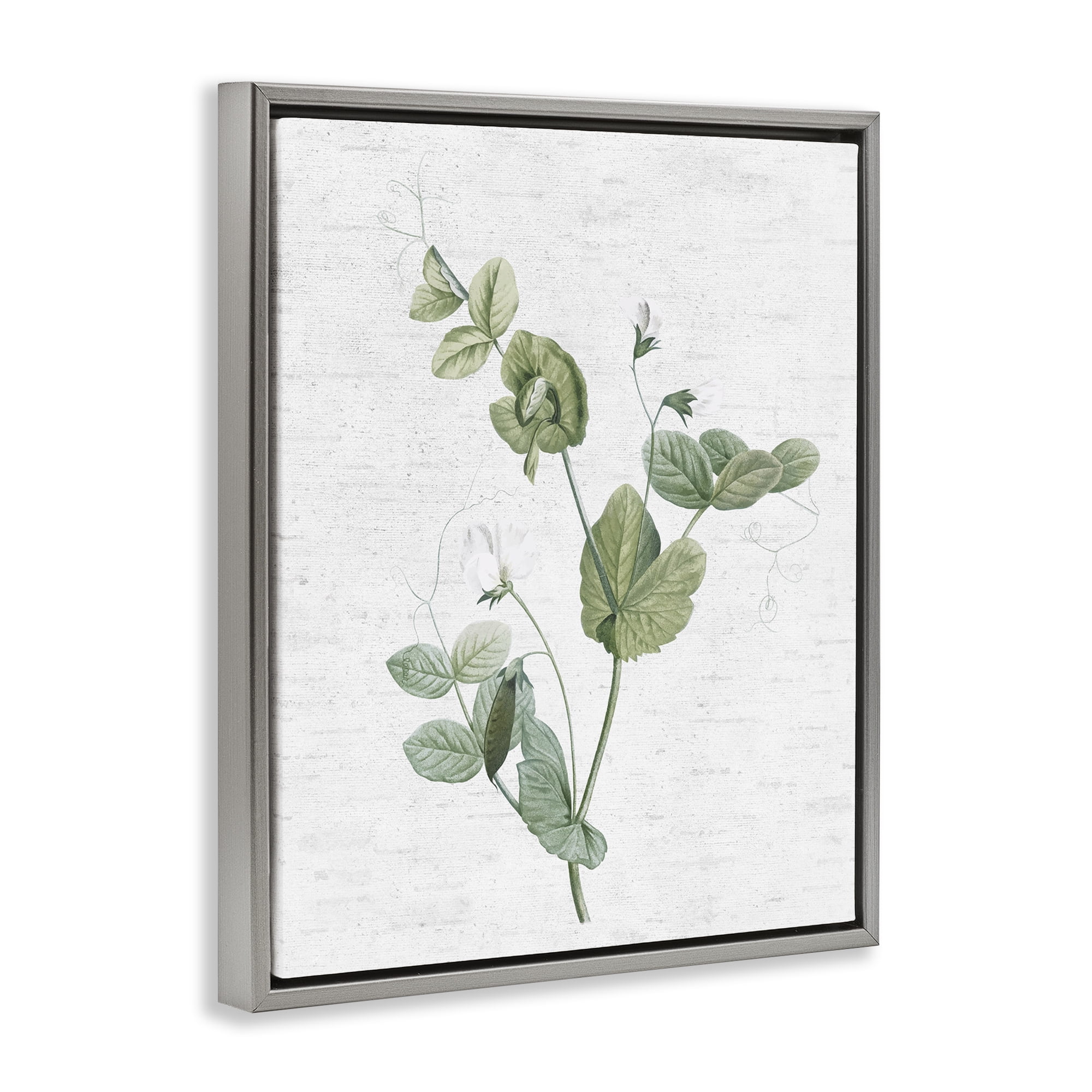 Stupell Industries Soft Country Botanical Botanical & Floral Painting Gray Floater Framed Art Print Wall Art, 25 x 31