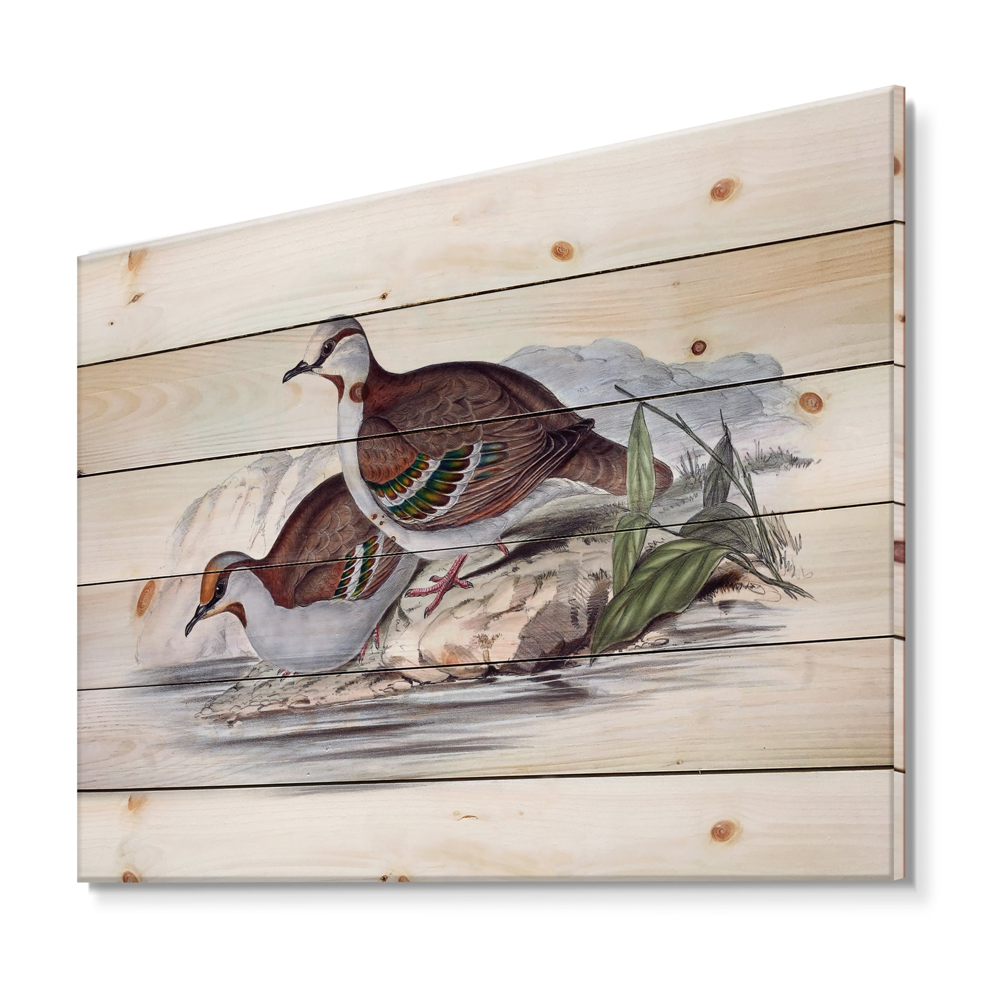 Designart 'Ancient Australian Birds IX' Traditional Print on Natural Pine Wood