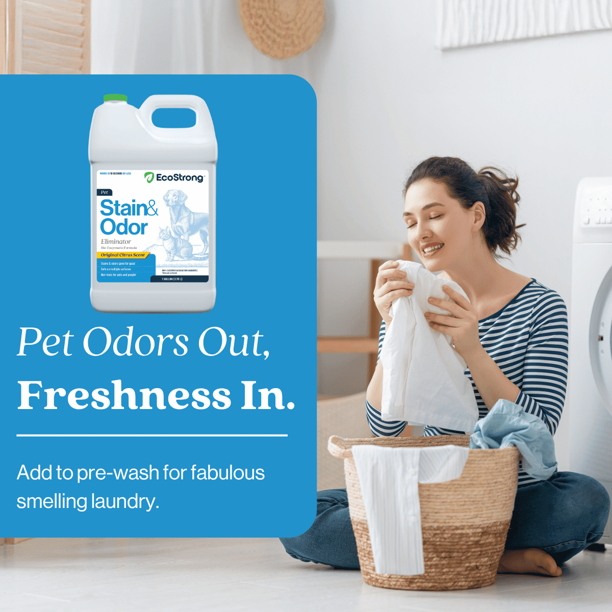 Eco Strong Enzymatic Pet Stain & Odor Remover for Cats & Dogs, 1 Gallon Jug, Citrus Scent