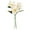 White, variant on FXMLRLK 3 Stems Artificial Magnolia Flowers, 12.99 inch Real Touch Faux Magnolia Flower Long Stem Bouquets for Home Office Wedding Engagement Party Decoration DIY Craft Gift, Blue