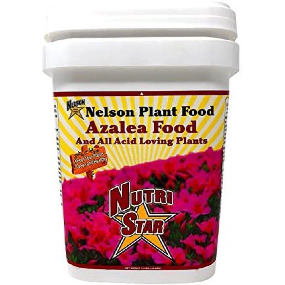 Nelson Azalea &amp; All Acid Loving Plant Food Huge Blooms