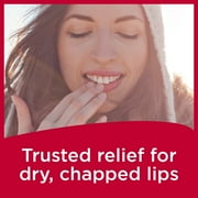 Carmex Medicated Lip Balm Sticks, Lip Moisturizer for Dry, Chapped Lips, 0.15 oz Each, 24 Count