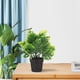 thumbnail image 4 of GOOHOCHY Mini maceta de bonsái de monstera simulada. Decoración de monstera en maceta. Mini planta de monstera. Decoración de bonsái., 4 of 8