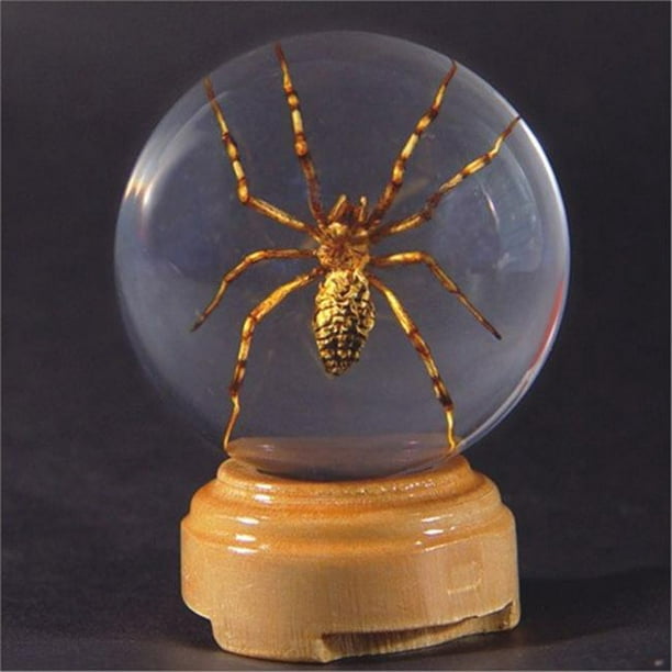 Ed Speldy East GL07 Insecte Globes-Petit-Araignée
