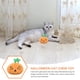 thumbnail image 2 of Juguete masticable para gatos de Halloween, juguete interactivo chirriante en forma de calabaza, juguete para la dentición del gato, 2 of 5