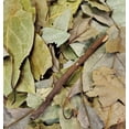 thumbnail image 2 of Avocado Leaves - 1 Pound-16 Ounce-Persea Americana/Hoja de Aguacate, 2 of 2