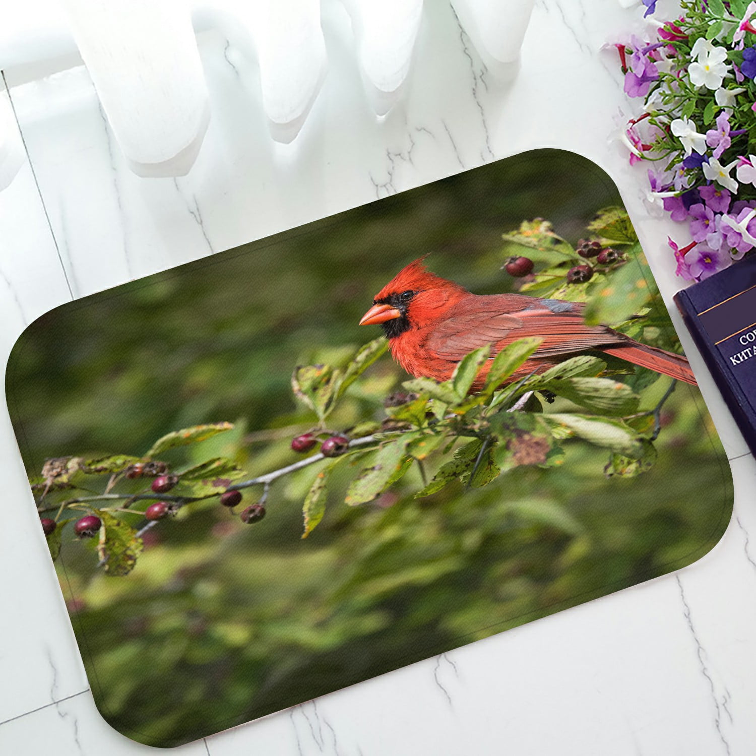 ECZJNT A Northern Cardinal in Toronto Doormat Bath Mat Rug Entrance Rug