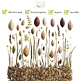 thumbnail image 5 of Perennial Wildflower Seeds – GevaGrow 1oz Packet Covers 100 Sq Ft | 20 Species of Non-GMO, Organic Flowers | High Germination, Pure Seed Mix for Outdoor Planting, Gardens, Pollinators & Bees, 5 of 5