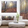 thumbnail image 1 of Setting Sun in Dense Fall Forest - Modern Forest Canvas Art, 1 of 4