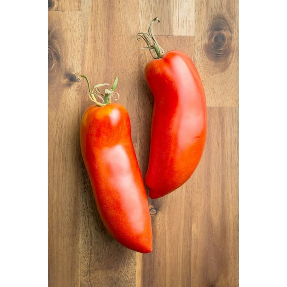 SEEDS = = 20 Seeds -Federle Paste Tomato- Non GMO -Good for Sauce and Fresh Eating- Serendipity Seeds