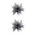 thumbnail image 1 of Guardurnaity Broche de plumas para mujer, decoración para boda, Halloween, gris 2piezas Gris, 1 of 1