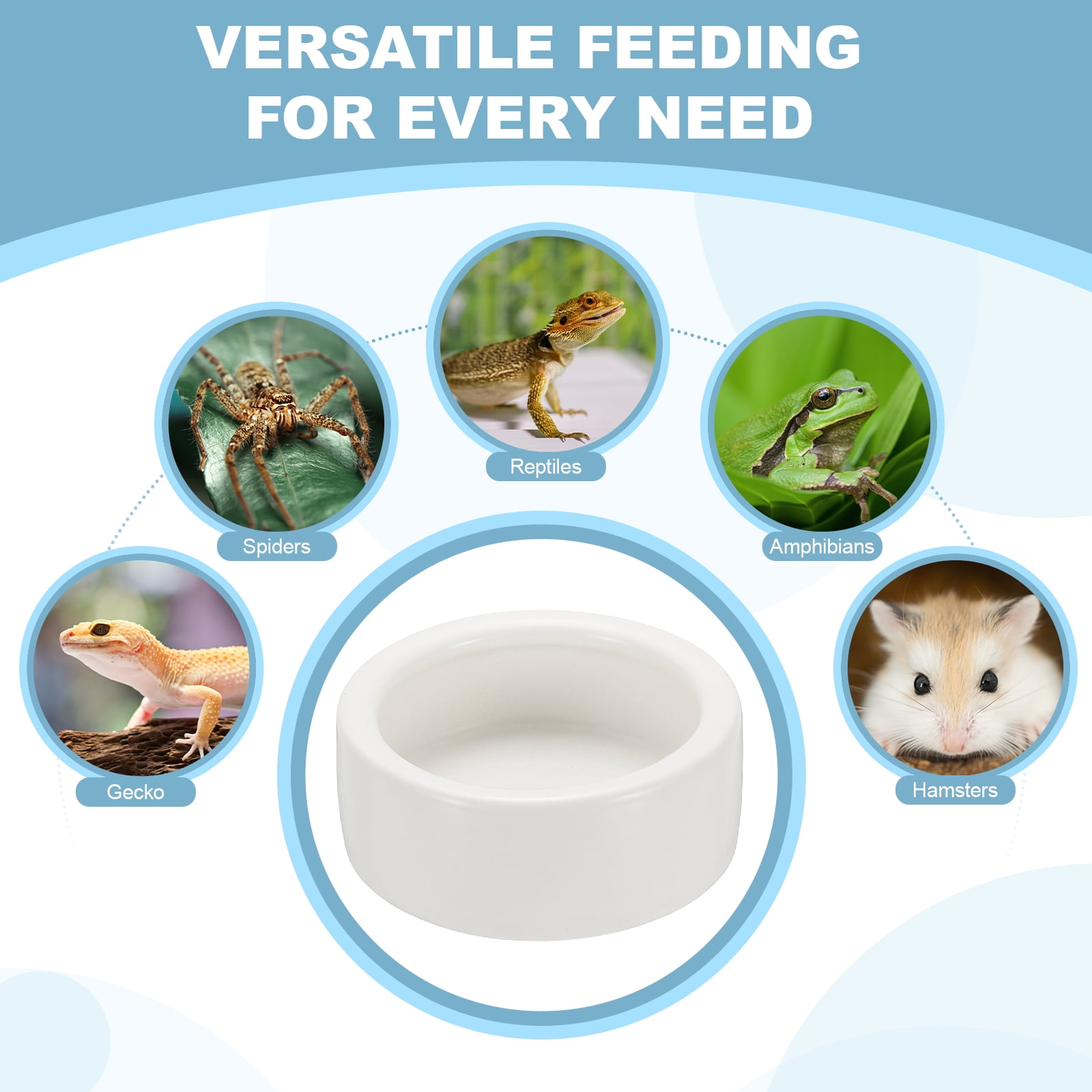 Reptile Food Bowl, Worm Water Dish Ceramic Pet Bowl Food Dish (4 In, White, 2 Pack), for Gecko Scaled Pet