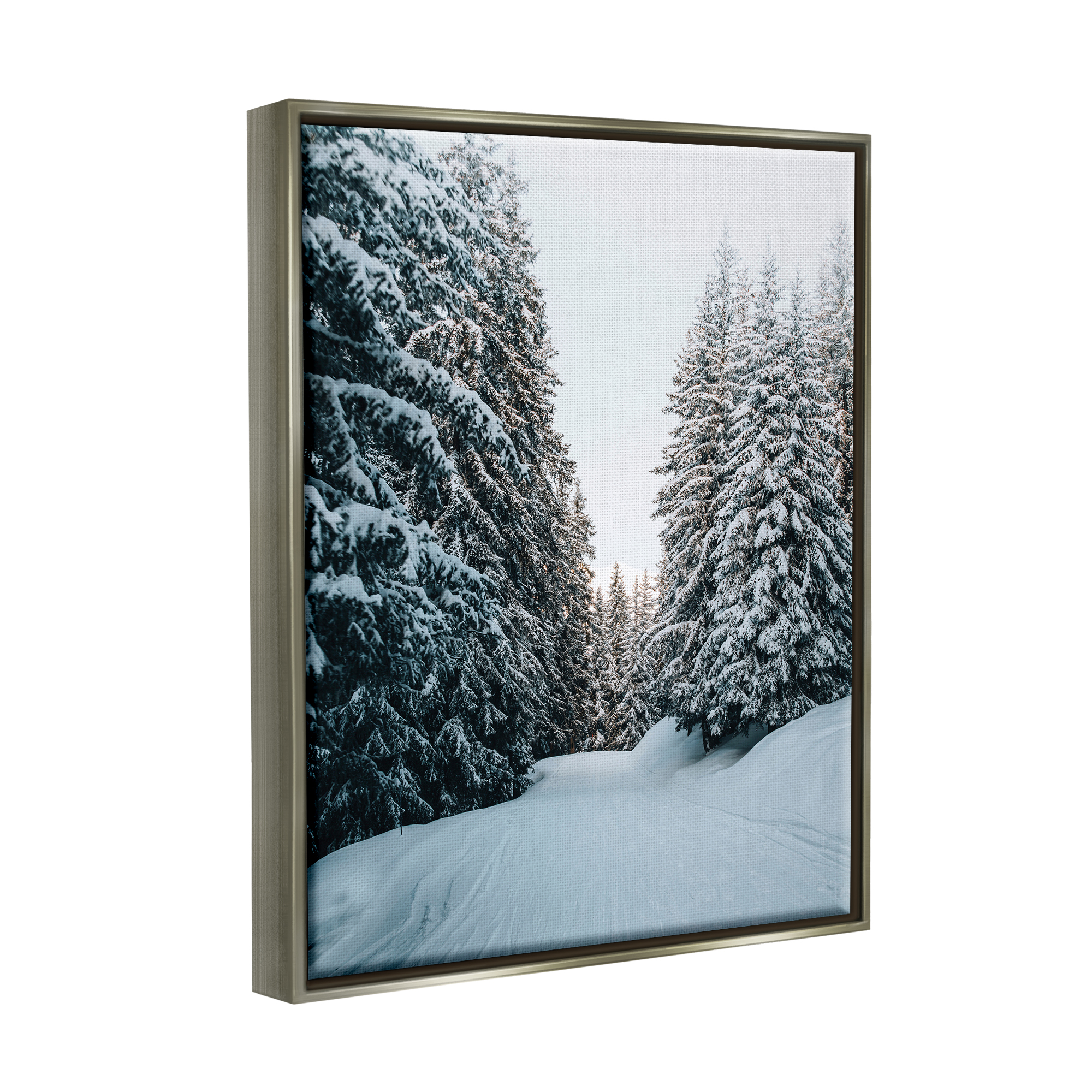 Stupell Industries Snowy Ski Slopes Landscape Photography Gray Floater Framed Canvas Art Print Wall Art, 17 x 21