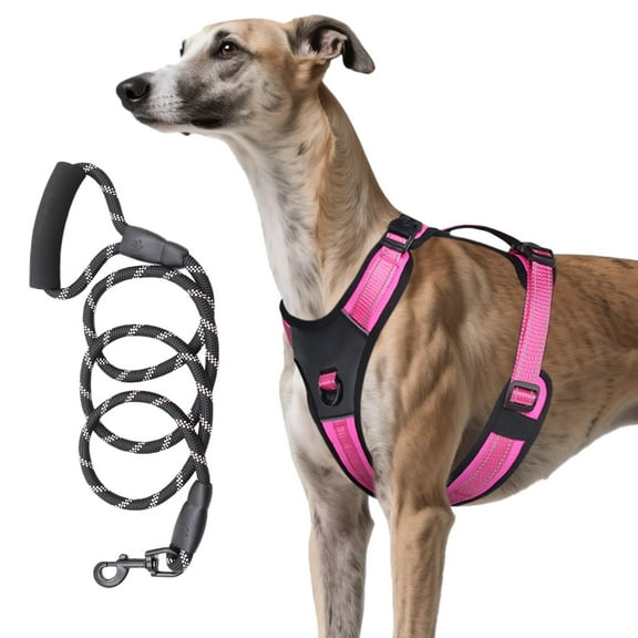 GOUWAN Dog Harness and Leash, Adjustable Padded Vest with Easy Control Handle, Reflective Strips with Leash for Large Dogs, Pink, L