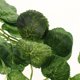thumbnail image 3 of Guirnalda de hiedra artificial de 96 cm, plantas verdes artificiales para jardín Cereza manzana, 3 of 9