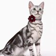 thumbnail image 3 of Corbata de lazo para perro y gato con flor de geranio, collar de nailon para perro con cascabel de perlas MFZFUKR CPB-US-YY380-1, 3 of 5