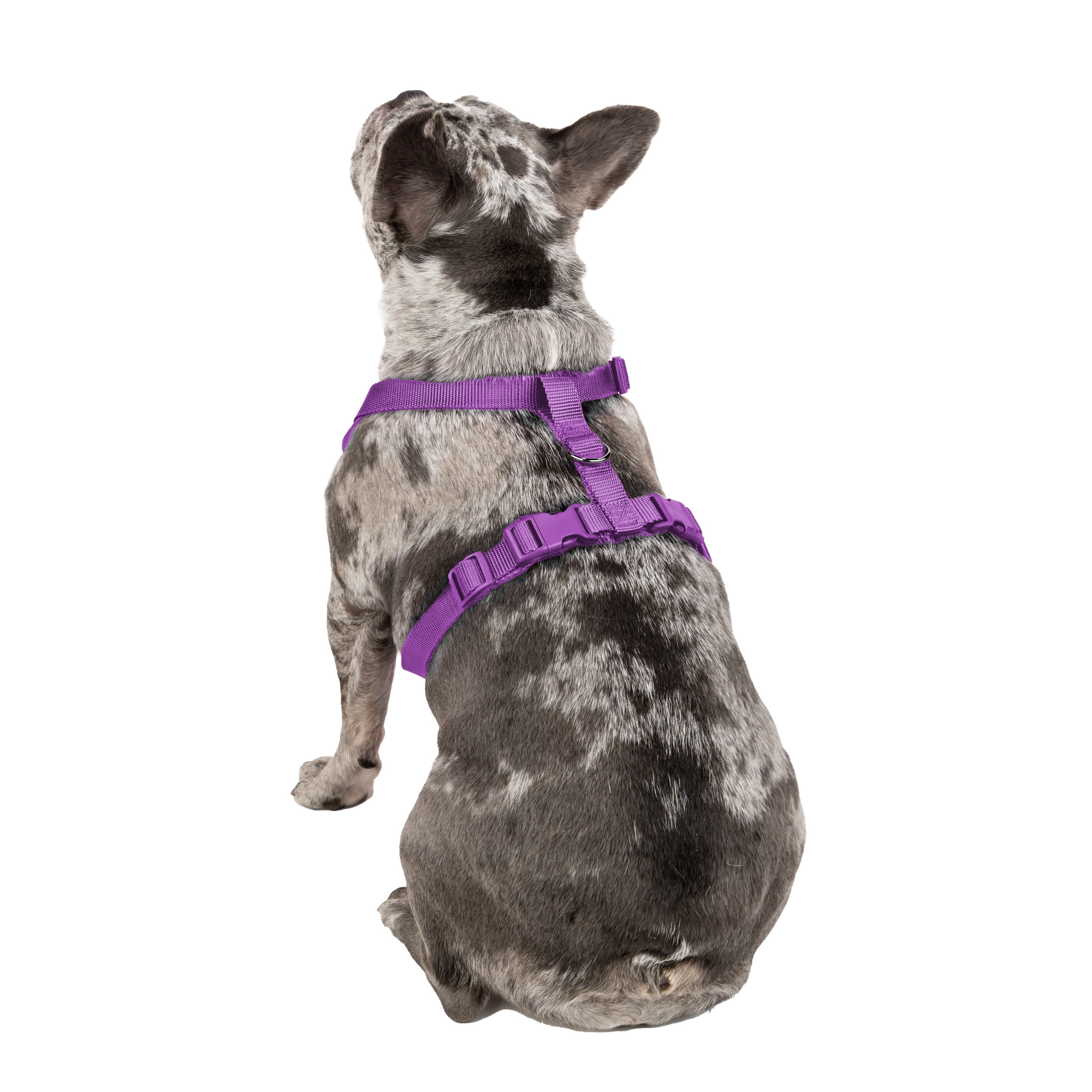 Vibrant Life Polyester Mesh Adjustable and Reflective Dog Walking Harness, Purple, M