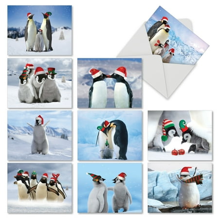 M2951XSG PENGUINS AND GREETINGS' 10 Assorted Merry Christmas Greeting Cards Featuring Holiday Penguins in Their Natural Surroundings, with Envelopes by The Best Card (Best Company Holiday Cards)