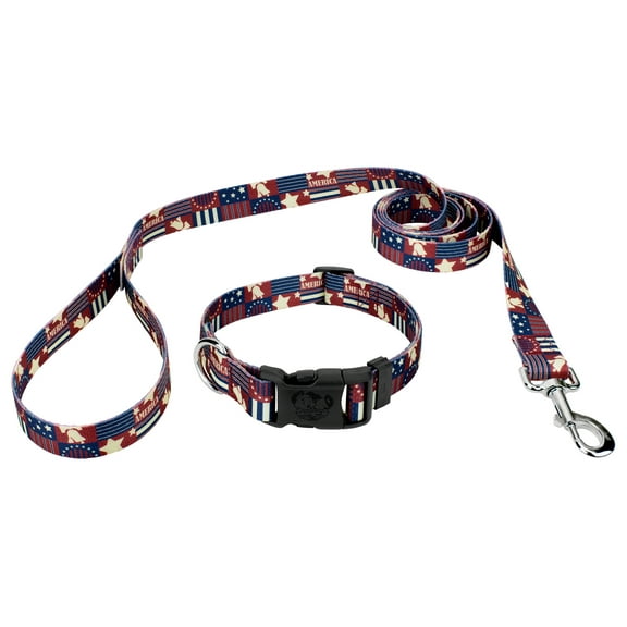 Country Brook Petz® Deluxe Spirit of '76 Dog Collar and Leash, Mini