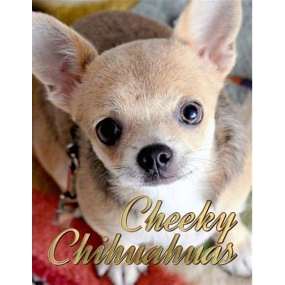 Dogs Picture Book - Precious Pooches: Cheeky Chihuahuas (Paperback)