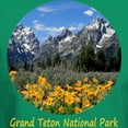 thumbnail image 3 of CafePress - Grand Teton Mountains With Yellow Spr Dark T Shirt - Men's Classic Graphic Cotton T-Shirt, 3 of 4