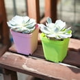 thumbnail image 6 of jiaroswwei Square Plastic Flower Succulent Plant Pot Planting Holder Flowerpot with Tray, 6 of 8