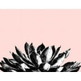 thumbnail image 2 of Pinto, Patricia 18x15 White Modern Wood Framed Museum Art Print Titled - Agave on Blush, 2 of 4