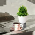 thumbnail image 4 of 2PCS Artificial Potted Small Greenery,Realistic Mini with Flowers for Indoor Home Decor,Desktop Table Centerpiece for Bathroom,Farmhouse Displays,Mother's Day,Christmas Gifts, 4 of 6