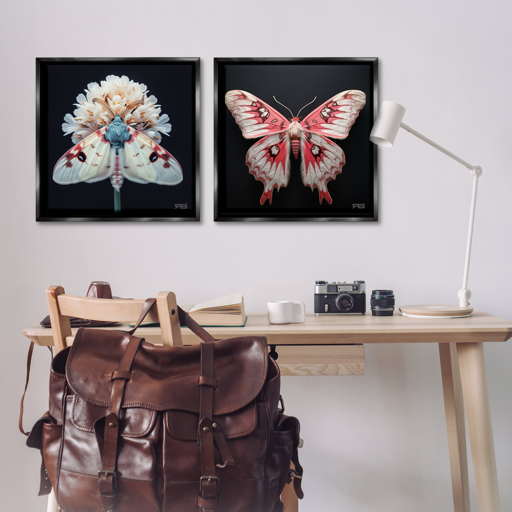 Stupell Industries Detailed Pink Moths Flower Animals Painting Black Floater Framed Canvas Art Print Wall Art, 25 x 25, Set of 2