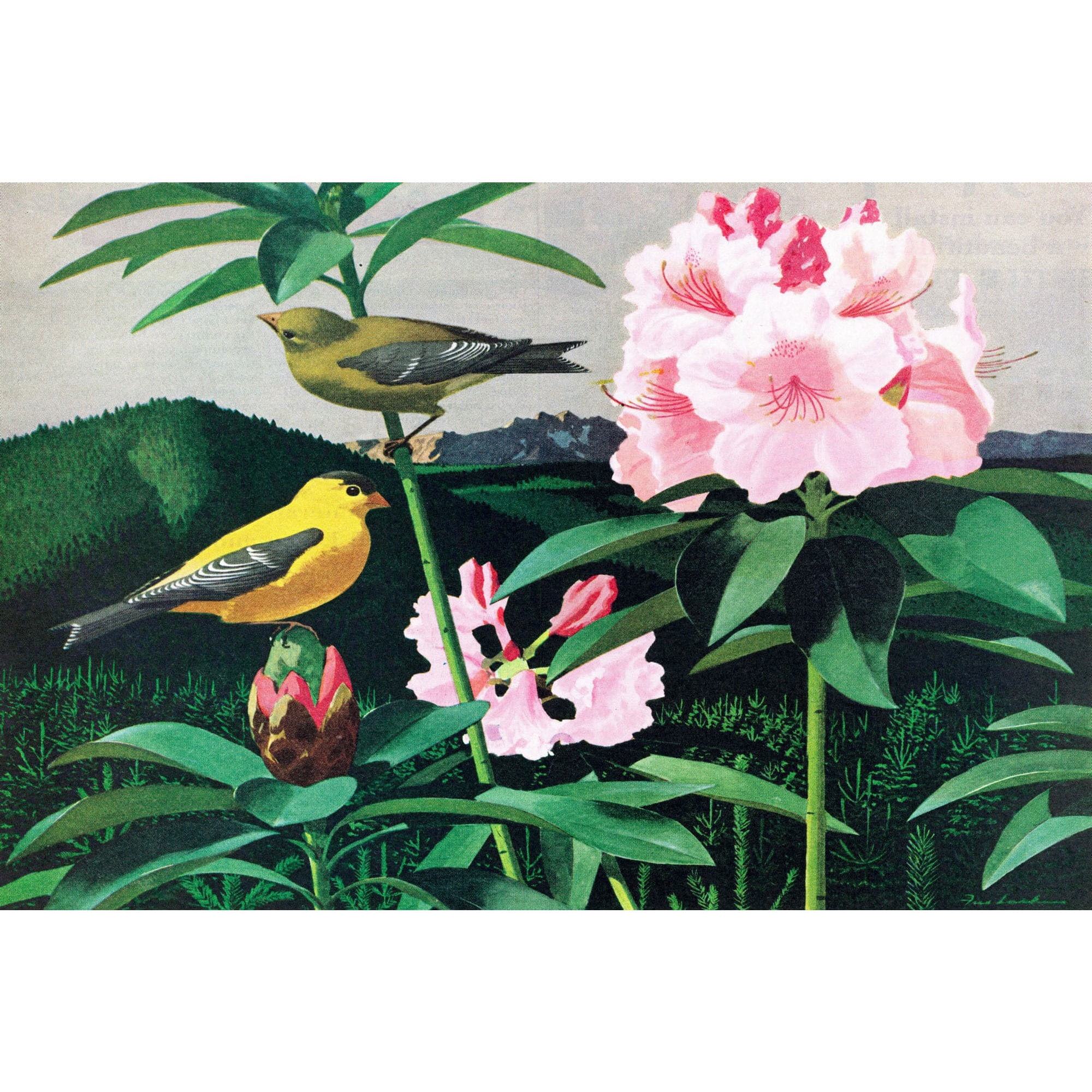 Marmont Hill "Goldfinch" Painting Print on Wrapped Canvas