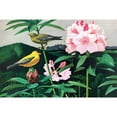thumbnail image 3 of Marmont Hill "Goldfinch" Painting Print on Wrapped Canvas, 3 of 5