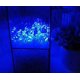 thumbnail image 4 of bleu2 Guirlande Lumineuse Intrieure 2m - 20 Led Guirlande Lumineuse Chambre - Mini Guirlande Led Pile Decoración Lumineuse Led - Guirlande Interi, 4 of 4