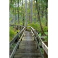 thumbnail image 2 of Miller, Anna 17x24 Gold Ornate Wood Framed with Double Matting Museum Art Print Titled - Wooden Boardwalk Trail-Twin Swamps Nature Preserve-Indiana-Midwest-USA, 2 of 4