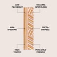 thumbnail image 3 of JONATHAN Y DAZZLE 2 x 8 Runner Rug, Retro Rainbow Stripe - Red/Gold/Cream, DZC102C-28, 3 of 6