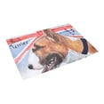 thumbnail image 3 of MKHERT Bull Terrier Doormat Rug Home Decor Floor Mat Bath Mat 23.6x15.7 inch, 3 of 3