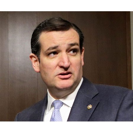 Biography of Ted Cruz - eBook (Best Of Ted Cruz)