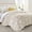 Beige, variant on Ameha Luxury Velvet Quilt Floral Diamond Pattern 3-Piece Set Ultrasonic Embossed Bedding Set Ultra Soft Reversible Bedspread Queen Size Grey