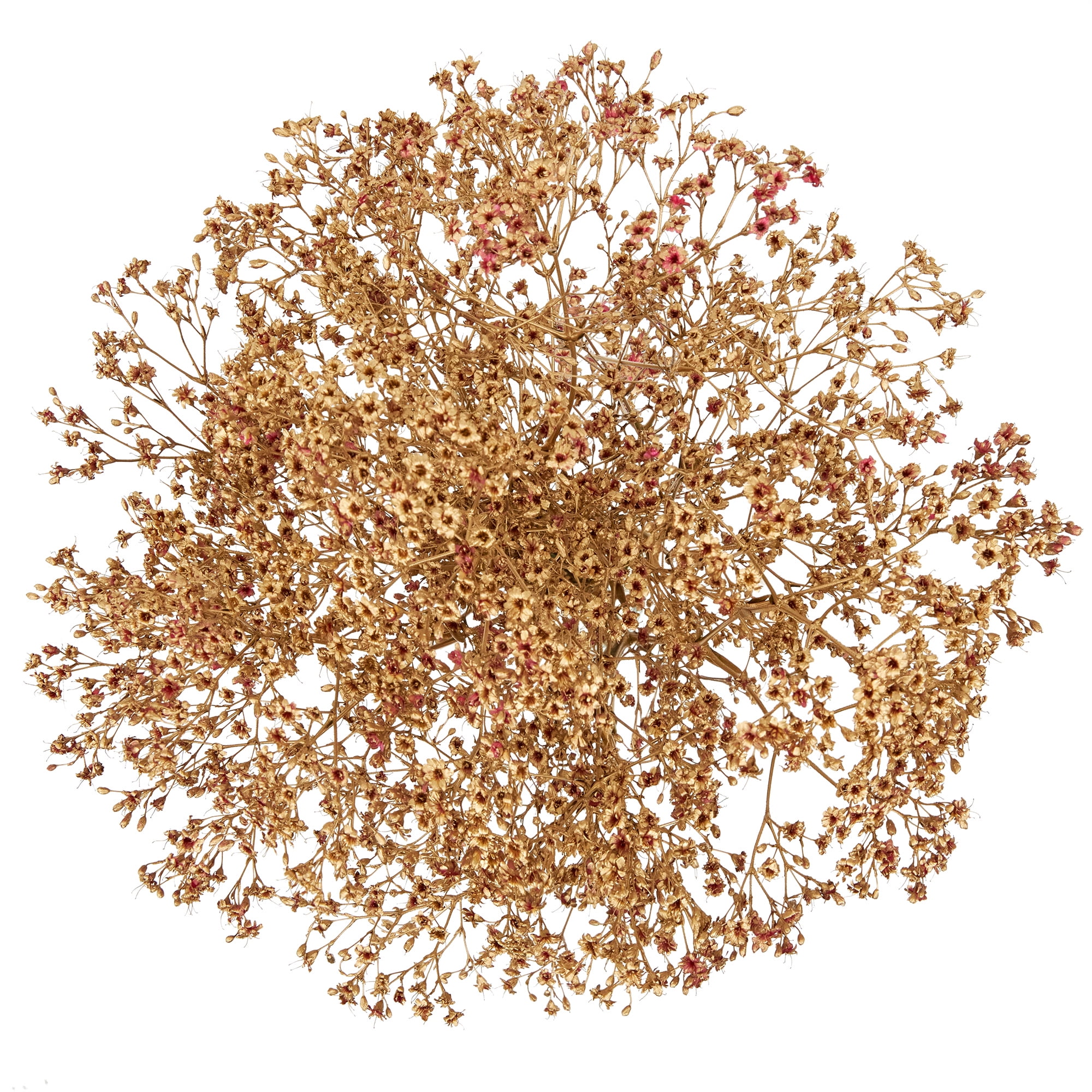 Baby's Breath (Gypsophila) Flower Bunch Small, Colors May Vary