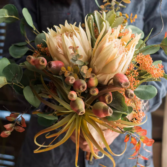 Mountian Oriole Autumn Art King Protea Bouquet