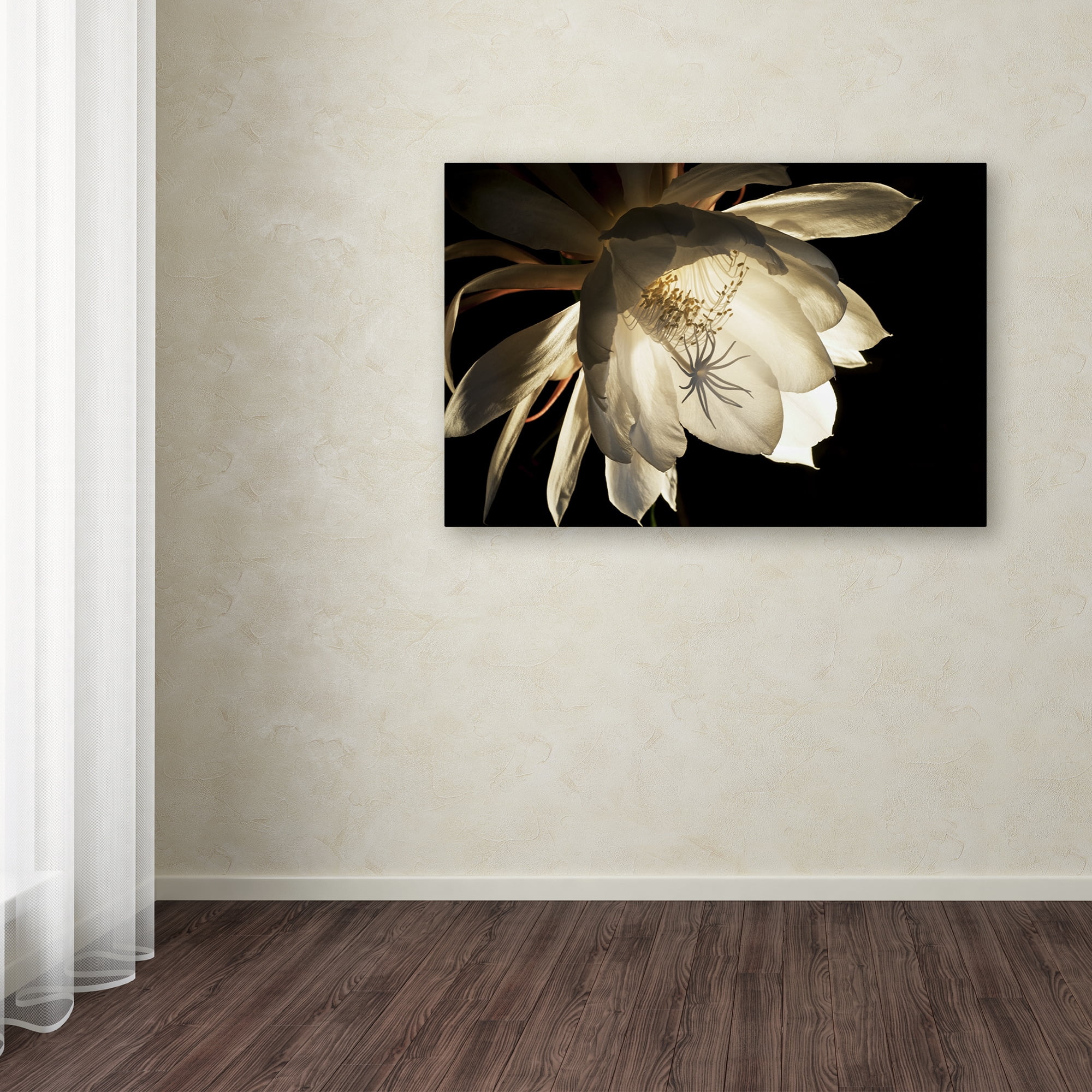 Trademark Fine Art "Midnight Portrait" Canvas Art by Kurt Shaffer