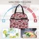 thumbnail image 4 of Easygdp Red Hawthorn Caja de Almuerzo para Mujeres y Hombres, Bolsa de Almuerzo Insulada, Bolsas Reutilizables Impermeables para Viajes, Trabajo y Picnics, 4 of 7