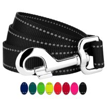 Country Brook Petz - 1 Inch Reflective Nylon Dog Leash