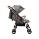 thumbnail image 3 of Carriola Infanti Park Gris Ligera Y Plegable, 3 of 4