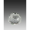 Asfour Crystal 175-50 1.96 L x 1.57 H in. Crystal Paperweight Office Figurines