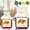 White, variant on 1 Pack Fruit Fly Trap, Highly Effective Fruit Fly Killer for Home & Kitchen Environmentally Responsible Ecological Traps Up to 3 Weeks per Bottle(20ml)