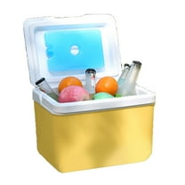 6L Camping Insulated Coolers Box Ice Coolers Bucket Leakproof Storage Container Large Capacity Freezers Easy to Use