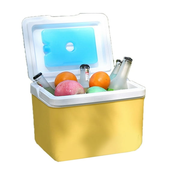 6L Camping Insulated Coolers Box Ice Coolers Bucket Leakproof Storage Container Large Capacity Freezers Easy to Use